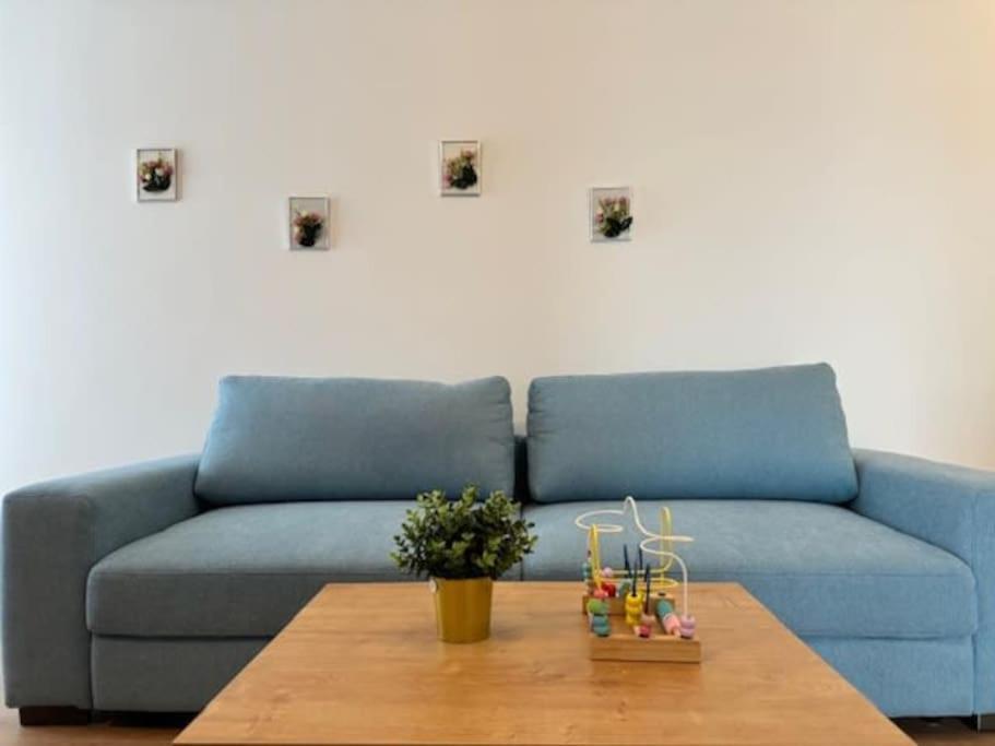 Joy City Stay Vivalia 7B-25 Timişoara Eksteriør billede